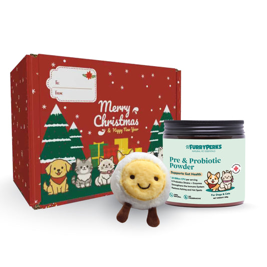 Christmas Box with a toy