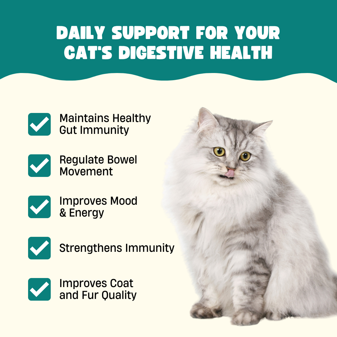 Pre & Probiotics with Digestive Enzymes for Cats