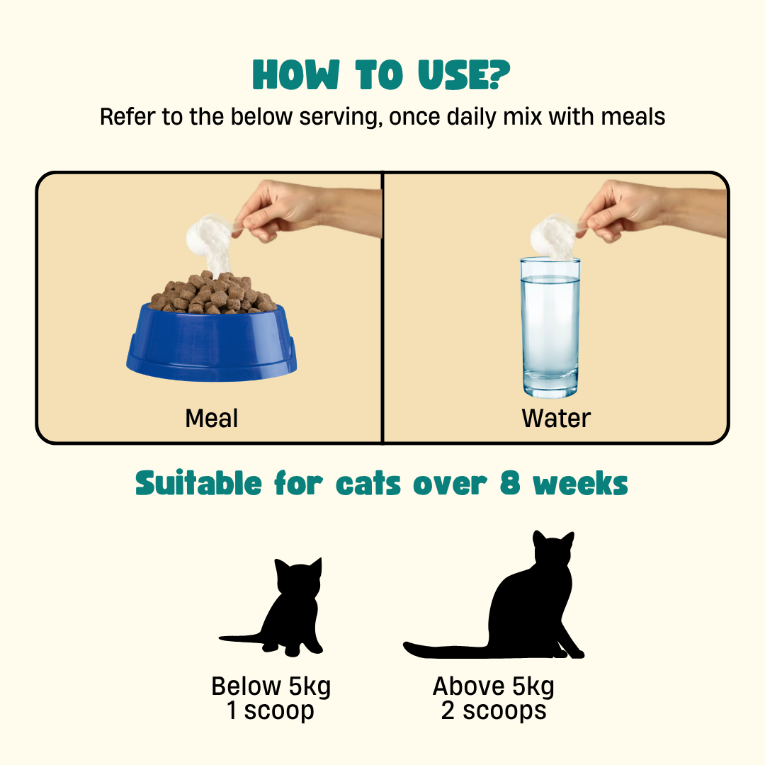 Pre & Probiotics with Digestive Enzymes for Cats