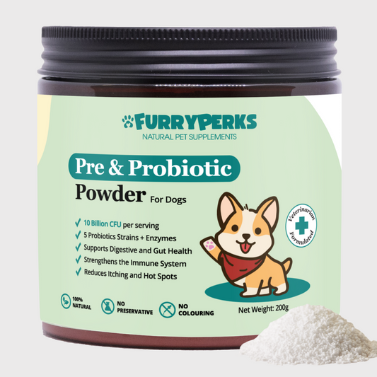 Pre & Probiotics with Digestive Enzymes for Dogs