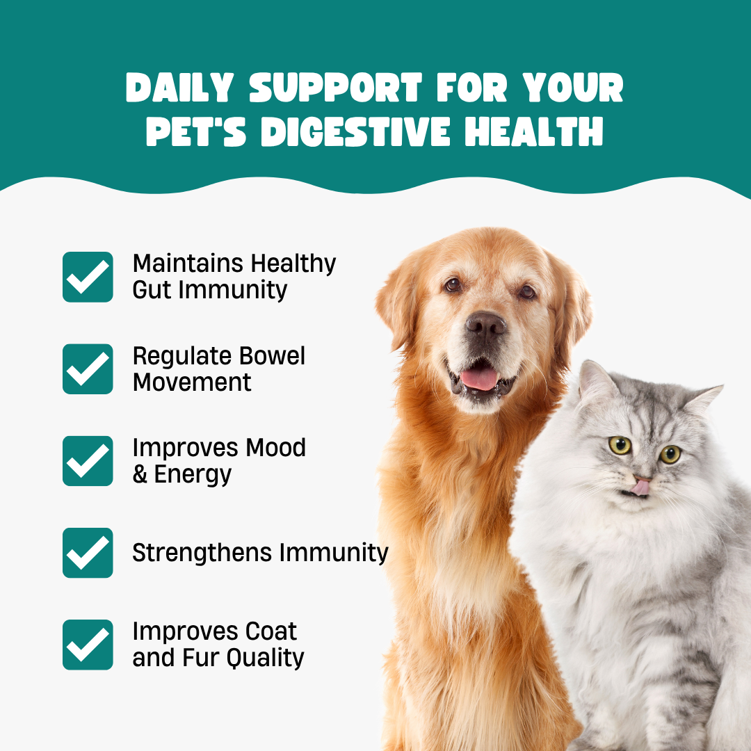 Pre+Probiotics with Digestive Enzymes for Dogs & Cats