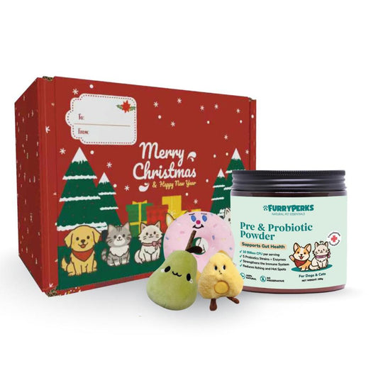 Christmas Box with a toy